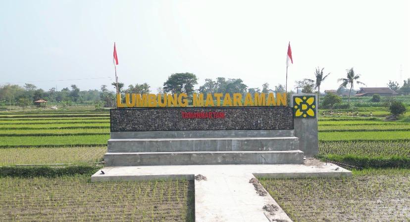 Pertanian organik